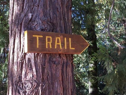 Hiking & Walking Trails Hiking & Walking Trails