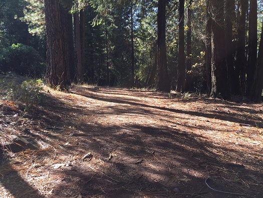 Hiking & Walking Trails Hiking & Walking Trails