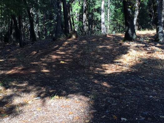 Hiking & Walking Trails Hiking & Walking Trails